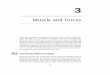 Muscle and Forces - Medical Physics · PDF fileMuscle and Forces Physicists recognize ... Williams and H. R. Lissner,Biomechanics of Human Motion,Philadelphia, ... muscle contraction,