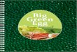 Книга рецептов - Big Green Egg Clubbiggreenegg-club.com/pdf/kniga_firmennyh_receptov_Big_Green_Egg.pdf · что это «лучшая еда, которую он когда-либо