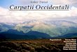 Imber Travel Carpatii Occidentali - GeoGraphiaLudusOccident... · Masivul Vl. ă. deasa-cel mai înalt vârf, 1.836 m, Vârful Vl