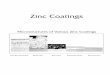 Zinc Coatings - American Iron and Steel Institute/media/Files/SMDI/Construction/Construction - Pub... · Characteristics of Zinc Coatings ... sheet galvanizing, electrogalvanizing,