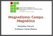 Magnetismo: Campo Magnético - Físicafisicacomcarlos.xpg.uol.com.br/arquivos/IFPB/Slides/Magnetismo.pdf · Magnetismo remanescente ... Até o início do século XIX, não se conhecia