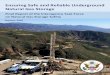 Ensuring Safe and Reliable Underground Natural Gas Storage · PDF fileOctober 2016 Ensuring Safe and Reliable Underground Natural Gas Storage . Final Report of the Interagency Task