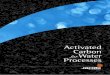Activated Carbon forWater Processes - The Carbon · PDF filematerials to address any water treatment issue. ... activated carbon so that you achieve the best ... in wastewater discharges