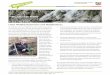 Liebe Waldbesitzerinnen und Waldbesitzer, · PDF fileSeite 3 DLG-Waldtage 2017 Über 10.000 Besucherinnen und Besucher informierten sich über aktuelle Waldbewirtschaftung Vom 15