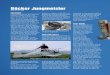 Bücker Jungmeister - Paolo  · PDF fileplane pilot for the German Imperial ... 1936 was chosen by the Luftwaffe as basic trainer. ... little helicopters,