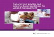 National best practice and evidence based guidelines for ... · PDF fileNational best practice and evidence based guidelines for wound management 2009
