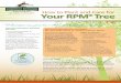 How to Plant and Care for Your RPM Tree - Forrest · PDF fileTypical Container Tree Planting Plan Tree planting is a significant investment in money, resources and time but proper