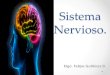 Sistema Nervioso. -  · PDF file• El sistema nervioso se divide estructuralmente en: •Sistema nervioso central ... partes del SNC proximales con distales se