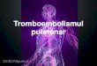 Tromboembolismul pulmonar - atimures.roatimures.ro/wp-content/uploads/2013/09/Marius-Papurica-Trombemboli... · semne TVP/tromboflebita (32%) . Rx pulmonar V/Q scanare Angiografia