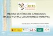 MEJORA GENÉTICA DE GARBANZOS, HABAS Y OTRAS · PDF fileLÍNEAS DE INVESTIGACIÓN 1. MEJORA TRADICIONAL DE LEGUMINOSAS - Habas (Vicia faba L.) - Garbanzos (Cicer arietinum L.) - LEGUMINOSAS