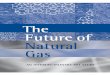TheFuture of Natural Gas - mit.edujparsons/publications/NaturalGas_Report_Final.pdf · MIT Study on the Future of Natural Gas v Study Participants ERNEST J. MONIZ — CHAIR Cecil