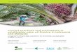 Current practices and innovations in smallholder palm oil ... · PDF fileKUD Koperasi Unit Desa (Village Cooperative System) KUR Kredit Usaha Rakyat (People’s Business Credit) LCDA