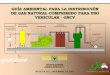 GUÍA AMBIENTAL PARA LA DISTRIBUCIÓN DE GAS …ambientebogota.gov.co/documents/10157/2844189/gnvc.pdf · entre otras, que son abastecidas por más de 32 estaciones de servicio. 