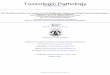 N,N-Dimethyl-p-toluidine, a Component in Dental Materials ... · PDF file18.07.2013 · Toxicologic Pathology N,N-Dimethyl-p-toluidine, a Component in Dental Materials, Causes Hematologic