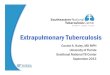 Module 9 Extrapulmonary TB Haley ENGLISHsntc.medicine.ufl.edu/Files/Haiti/Module 9 Extrapulmonary TB... · Overview of Extrapulmonary TB Worldwide, between 10-25% of TB infections