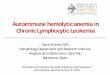 Autoimmune hemolytic anemia in Chronic Lymphocytic · PDF fileAutoimmune hemolytic anemia in Chronic Lymphocytic Leukemia. Carol Moreno MD. Hematology Department and Research Institute