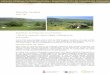 Espinalba, Cavallera - Cilma i informes/Cataleg... · Estat de conservació. Impactes o greuges damunt els ecosistemes i els valors de la zona: Antigament, l’aprofitament agrícola