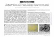 Segregation of Form, Color, Movement, Depth: Anatomy ...invibe.net/biblio_database_dyva/woda/data/att/4e67.file.00015.pdf · Depth: Anatomy, Physiology, andPerception ... perception,