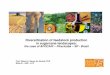 Diversification of feedstock production in sugarcane ... · PDF file13,0 12,3 13,2 12,8 5,0 12,2 13,0 5,2 ... • How to induce crop diversification in traditional sugarcane´s 