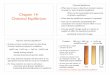 dynamic equilibrium Chapter 14: requirements Chemical ...s-bates/chem172/Ch14PresStudent.pdf · The Equilibrium Constant, K een t um? 1864 n n p! Concentrations of Reactants & Products