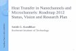 Heat Transfer in Nanochannels and Microchannels: … 3... · Heat Transfer in Nanochannels and Microchannels: Roadmap 2012 ... Nanorwires for enhancing flow ... Production of hydrogen