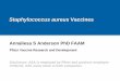 Staphylococcus aureus Vaccines - · PDF fileCarbuncle, impetigo, cellulitis, wound/burn infection, abscess, SSI Deep Infection Arthritis, mediastinitis, osteomyelitis, Device-related,