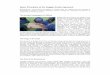 Basic Principles of the Reggio Emilia · PDF fileBasic Principles of the Reggio Emilia Approach Believing that “the potential of children is stunte d when the endpoint of their learning