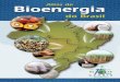 Centro Nacional de Referência em Biomassa – CENBIO143.107.4.241/download/atlasbiomassa2012.pdf · Para efetuar o cálculo de conversão energética dos diversos tipos de biomassa,