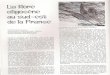 flore oligocene 49 janvier 1979 - hybodus.free.frhybodus.free.fr/min_et_foss/flore_oligocene_49_janvier_1979.pdf · APOSTOLESCU V. 1968. des conditions de sédimentation et des milieux