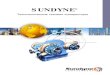 SUNDYNE - Главнаяbelinterflow.com/assets/files/info/Sundyne/SndCompressor-Process... · 9 lmc/bmc-311p/331p/801p (lmc-311p shown) 120 115 160 151b 155b 130 151a 50b 50a 15