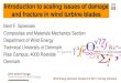 Introduction to scaling issues of damage and fracture in ... · PDF fileIntroduction to scaling issues of damage and fracture in wind turbine blades ... Case 3. Cracks in bondlines