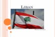 Liban - p5.storage.canalblog.comp5.storage.canalblog.com/55/49/1103000/110439259.pdf · Dans ce domaine on utilise l’arabe libanais pourtant même le français est bien accepté,