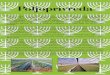 Poljoprivreda - embassies.gov.ilembassies.gov.il/zagreb/Documents/AGRICULTURE.pdf · Poljoprivreda Izraelski poljoprivredni sektor karakterizira intenzivan sustav proizvodnje koji