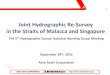 Joint Hydrographic Re-Survey in the Straits of Malacca … W 13.3 ANNEX D... · Joint Hydrographic Re-Survey in the Straits of Malacca and Singapore ... HYPACK, CAD, Arc-GIS Laptop