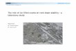 The role of ice filled cracks on rock slope stability – a ... · PDF fileThe role of ice filled cracks on rock slope stability – a laboratory study ... 110m rock tower. Ice filled