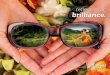 reßect your brilliance. - · PDF fileto join other lae’ula, hear their stories and learn how Maui Jim can help reﬂect your brilliance. ... crystal clear with more contrast and