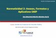 Normatividad 2: Anexos, Formatos y Aplicativos SNIP · PDF fileSistema Nacional de Inversión publica (SNIP). ... de Proyecto 6 Anexo SNIP 022.0 ... 10 Elaboración de Estudios de