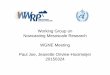 Working Group on Nowcasting Mesoscale Research WGNE ...polar.ncep.noaa.gov/conferences/WGNE-30/pdfs/day2/14-Joe-meso... · Working Group on Nowcasting Mesoscale Research WGNE Meeting