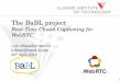 The BaBL project - IIT School of Applied Technology · PDF fileWebRTC Luis Villaseñor Muñoz lvillase@hawk.iit.edu 30th April 2014 . 2 BaBL, version 1.0: Project Goal ... Codecs,