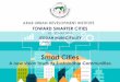 E-municipality and Local Governments Transparency SMARTER CITIES... · CITY DEVELOPMENT STRATEGY The enhancement of human ... Ubiquitously information based E-municipality , services