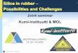 Silica in rubber Possibilities and Challenges - TUT · PDF fileSilica in rubber – 1 Possibilities and Challenges Joint seminar Kumi-instituutti & MOL