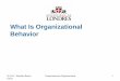 What Is Organizational Behavior -  · PDF fileWhat Is Organizational Behavior. ... Enter Organizational BehaviorEnter Organizational Behavior ... – Increased foreign assignments