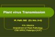 Pl Path 502 Plant virus Transmission - Hill Agric. 7 Pl Path... · The knowledge of virus transmission is important to: Recognize a virus as cause of the disease if transmitted from