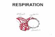 RESPIRATION - Wikispaces · PDF file4 Respiration • Definition – Release of energy from food substances in all living cells ... • Carbon dioxide reacts with water to form carbonic