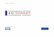 Evaluation of the EU-TURKEY - World Bank · PDF fileEvaluation of the EU-Turkey Customs Union CurrenCy and equivalent units CurrenCy equivalents (Exchange Rate Effective February 28,