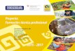 Proyecto: Formación técnica · PDF filee Institutos técnicos dependientes del Ministerio de Educación, a través de acciones orientadas al desarrollo de capacidades de Directores