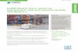 CAEM-Magrini S.p.A. stacks up management, cost and · PDF fileCASE STU ˜ Overview To support ongoing company growth, Italian shelving manufacturer CAEM-Magrini S.p.A. needed a dynamic,