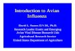 Introduction to Avian Influenza - Iowa State University of... · Natural Ecology of Avian Influenza Mallards Blue Wing Teal Herring Gulls • Avian Influenza is naturally found in