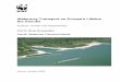 Waterway Transport on Europe’s Lifeline, the Danube - …assets.panda.org/downloads/DanubeReport.pdf · Waterway Transport on Europe™s Lifeline, the Danube ... Damage by Ship