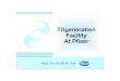 Trigeneration Facility At Pfizer - · PDF fileBase case Before Trigeneration, ... Pfizer Asia Pacific Pte Ltd Trigeneration Plant ... Case Study of Trigeneration Project in Pfizer.ppt